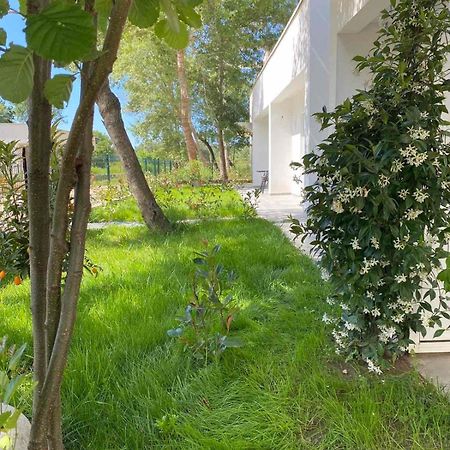 אולסינץ' Villa Hanna מראה חיצוני תמונה