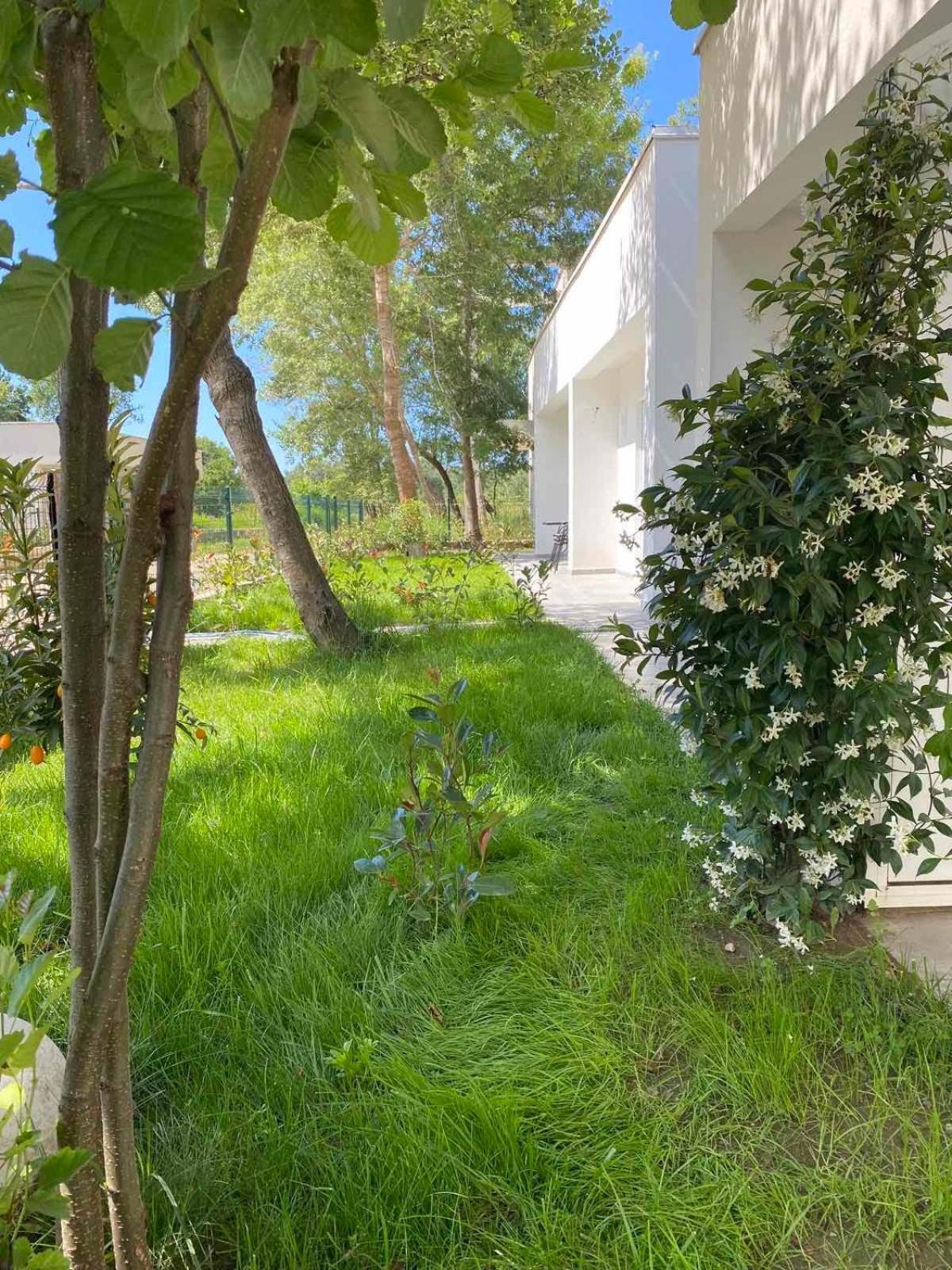 אולסינץ' Villa Hanna מראה חיצוני תמונה